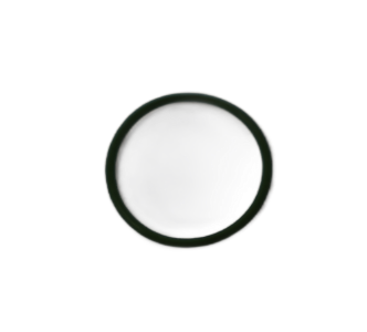 Star 430 Cap O-Ring